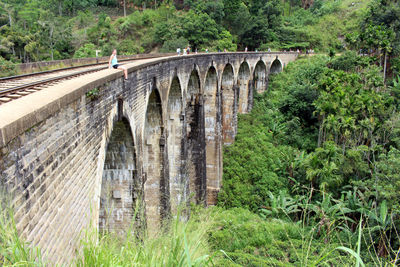 Arch bridge over trees by plants