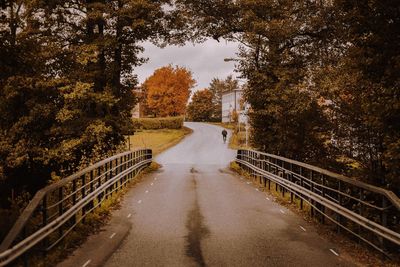 Road amidst trees against sky during autumn