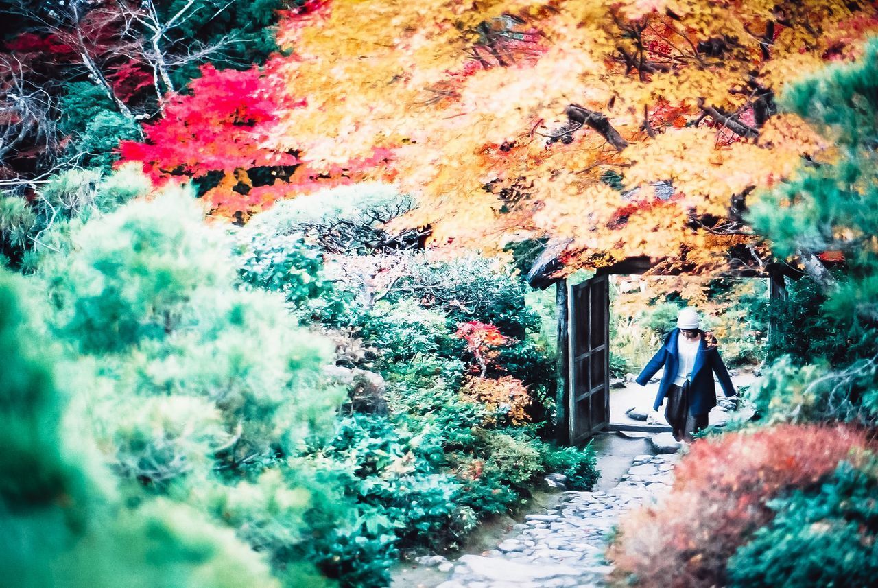 MAN STANDING BY PLANTS IN AUTUMN