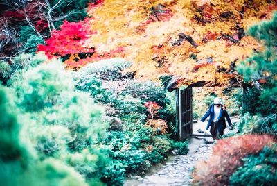 Man standing by plants during autumn