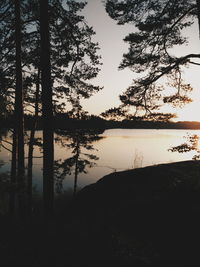 Silhouette trees by lake in forest against sky