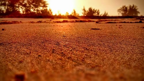 Sunset over landscape