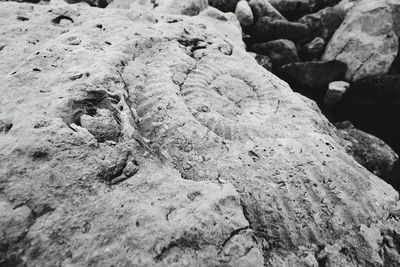 Close-up of sand