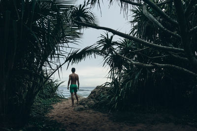 Rear view of man standing on beach against sky