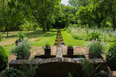 Footpath in park
