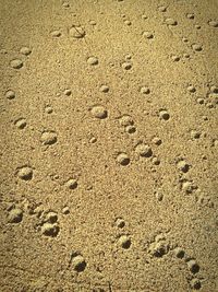 High angle view of footprints on wet sand