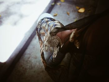 Low section of person wearing canvas shoes