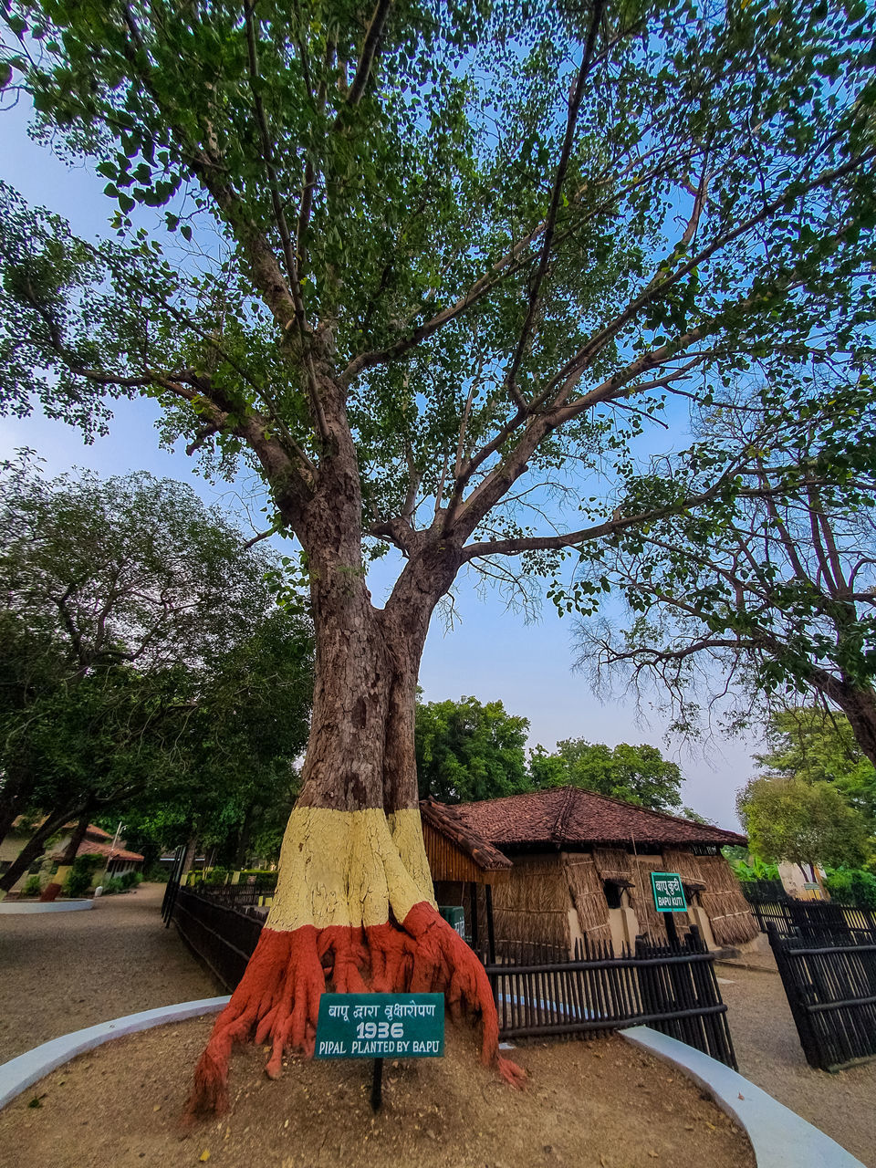 LOW ANGLE VIEW OF TREE AGAINST BUILDING