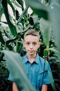 Portrait of boy