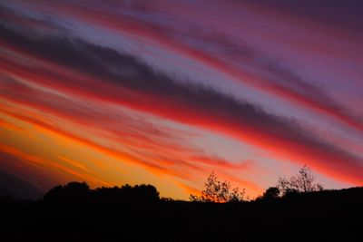 Silhouette trees against dramatic sky during sunset