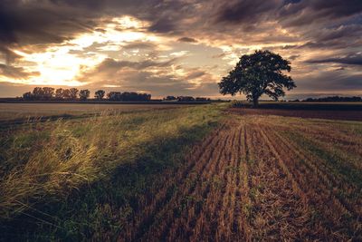 Scenic view of field against sky during sunset