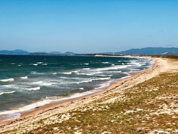 Scenic view of beach against clear sky