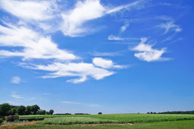 Scenic view of field against blue sky