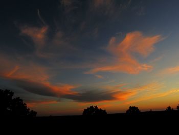 Silhouette trees on field against dramatic sky