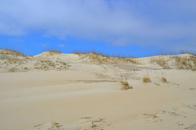 Scenic view of sand dune in desert against sky