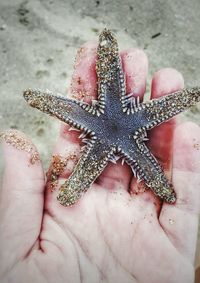 Close-up of human hand