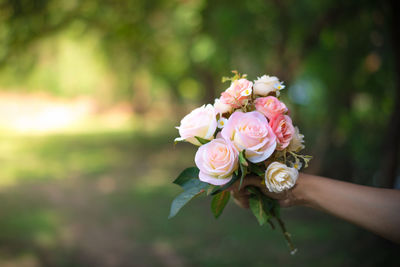 Close-up of hand holding roses in park