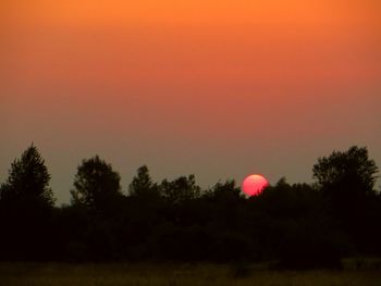 Silhouette of trees on landscape at sunset