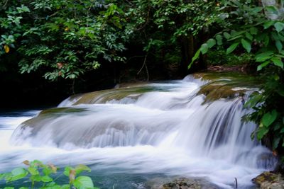 Scenic view of waterfall in forest