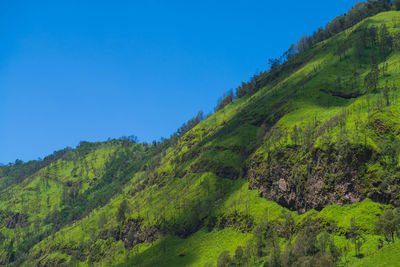 Scenic view of mountains against clear blue sky