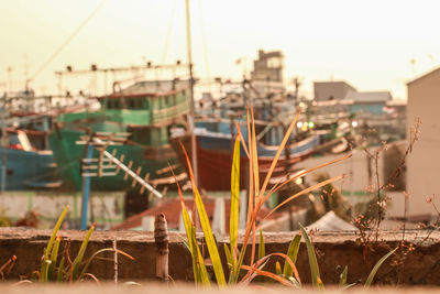 Sailboats moored in city against sky during sunset