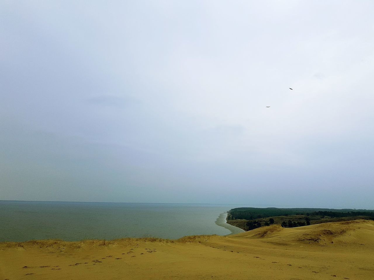 Grey dunes