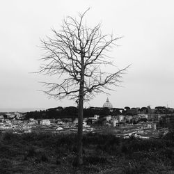 Bare tree on field by building against clear sky