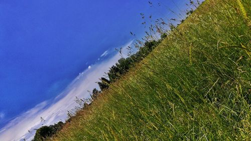 Scenic view of sea against blue sky