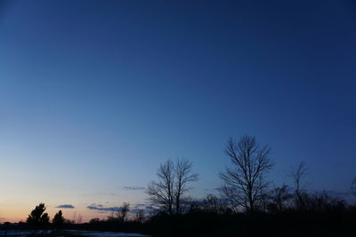 Low angle view of silhouette trees against blue sky