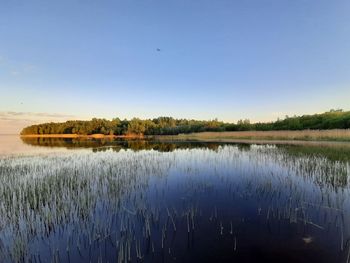 Scenic view of lake against clear blue sky