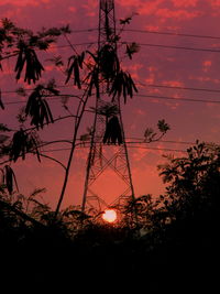 Silhouette of trees at sunset