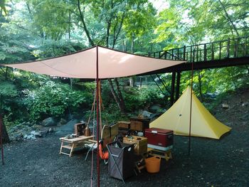 Tables and chairs by trees in forest