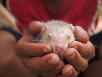 Close-up of baby holding hand