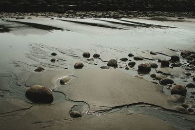 Close-up of sand at beach