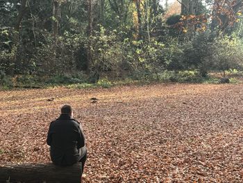 Rear view of man sitting in forest