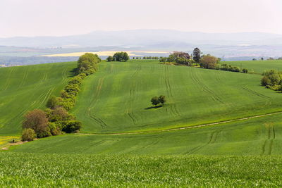 Scenic view of farm against sky