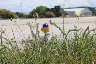 On the taxiway in sintra airport 