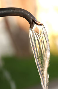 Close-up of water drop on leaf