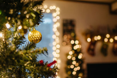 Close-up of illuminated christmas tree at night