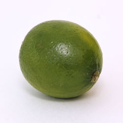 Close-up of apple against white background