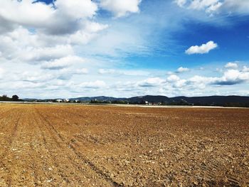 Scenic view of field against sky