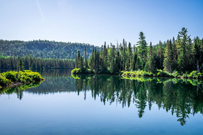 Reflection of trees in lake against sky