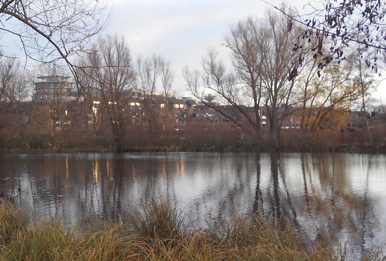 SCENIC VIEW OF LAKE AGAINST BARE TREES