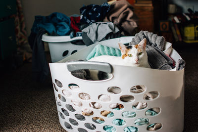 Cat lying in a clothes filled laundry basket