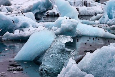 Ice floating on sea