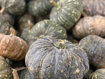 Close-up of pumpkins for sale at market stall