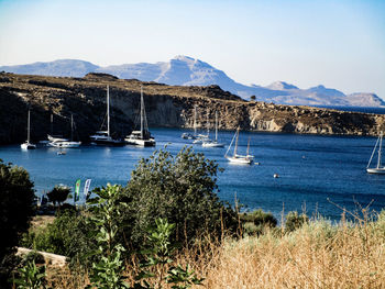 Sailboats in sea against clear sky