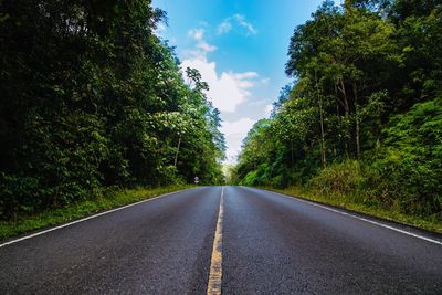 Empty road along trees