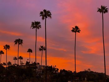 Silhouette palm trees against sky during sunset
