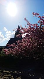 High angle view of cherry blossoms against sky